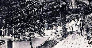 1382- Hammam-R'Hira - Jardins de l'hotel2